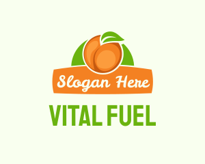 Orange Fruit Banner logo design