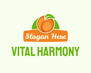 Orange Fruit Banner logo design