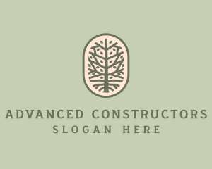 Mangrove Tree Branch logo design