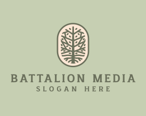 Mangrove Tree Branch logo design