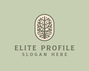 Mangrove Tree Branch logo design