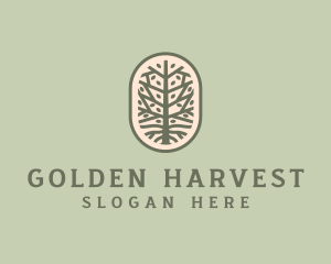 Mangrove Tree Branch logo design