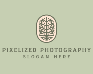 Mangrove Tree Branch logo design