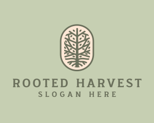 Mangrove Tree Branch logo design