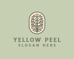 Mangrove Tree Branch logo design