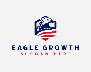 American Eagle Air Force logo design