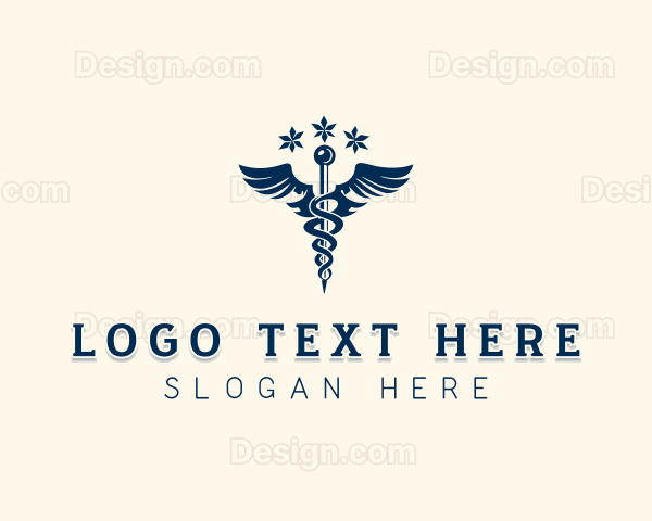 Caduceus Wings Healthcare Logo