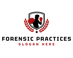 Boxer Shield Gym logo