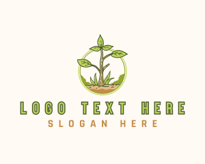 Plant Lawn Landscaping logo