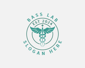 Medical Caduceus Hospital logo design