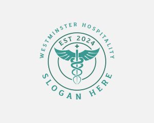 Medical Caduceus Hospital logo design