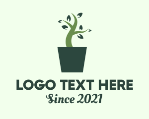 Green House Plant  logo