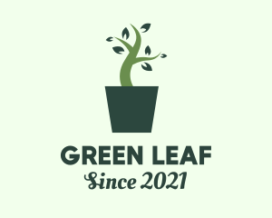 Green House Plant  logo design