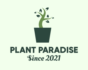 Green House Plant  logo design