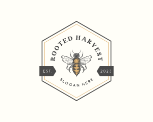 Hexagon Honey Bee logo design