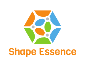 Colorful Hexagon Shape logo