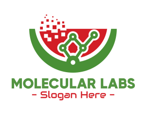 Molecular Watermelon Gastronomy logo design