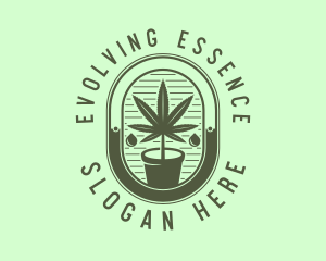 Marijuana Pot Plant logo design