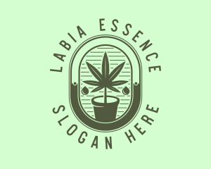 Marijuana Pot Plant logo design