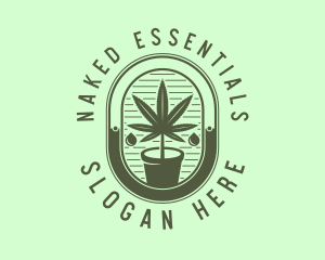 Marijuana Pot Plant logo design