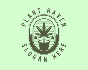 Marijuana Pot Plant logo design