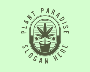 Marijuana Pot Plant logo design