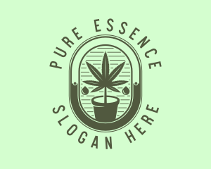 Marijuana Pot Plant logo design