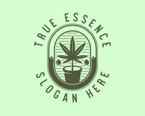 Marijuana Pot Plant logo design