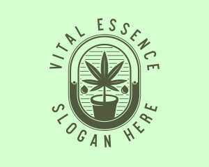 Marijuana Pot Plant logo design