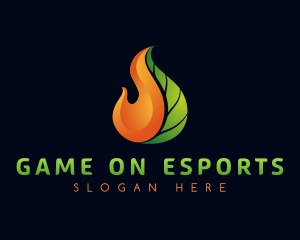 Gradient Leaf Flame logo
