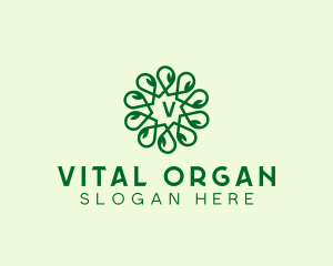 Organic Herbal Leaf logo design