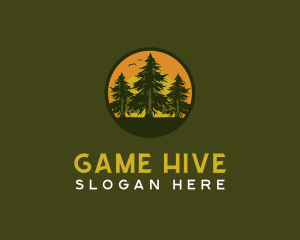 Pine Tree Eco Forest Logo