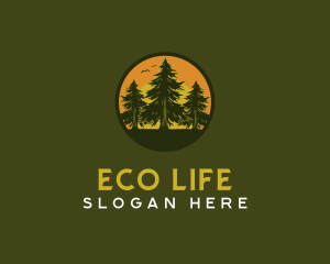 Pine Tree Eco Forest logo design