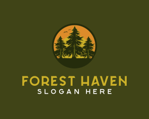 Pine Tree Eco Forest logo design