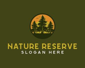 Pine Tree Eco Forest logo