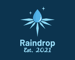Water Drop Snowflake logo