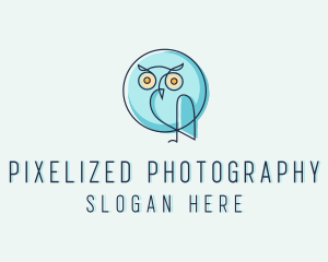 Owl Bird Aviary logo design