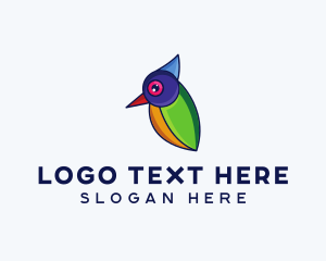 Colorful Wild Bird Logo