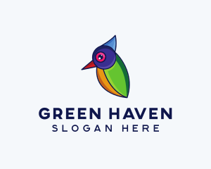 Colorful Wild Bird logo design