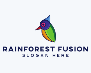 Colorful Wild Bird logo