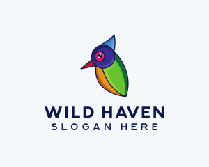 Colorful Wild Bird logo design