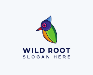 Colorful Wild Bird logo design