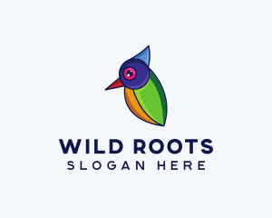 Colorful Wild Bird logo design