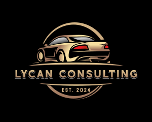 Automotive Car Detailing Logo