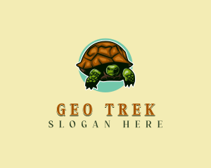 Georgia Reptile Tortoise  logo design