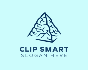 Blue Pyramid Brain logo design