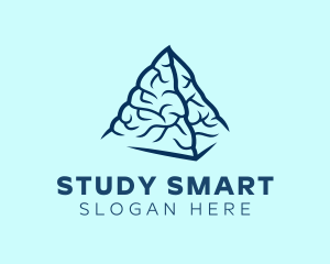 Blue Pyramid Brain logo design