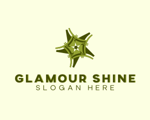 Shining Star Decor logo design