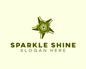 Shining Star Decor logo design