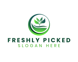 Nature Plant Leaf logo design